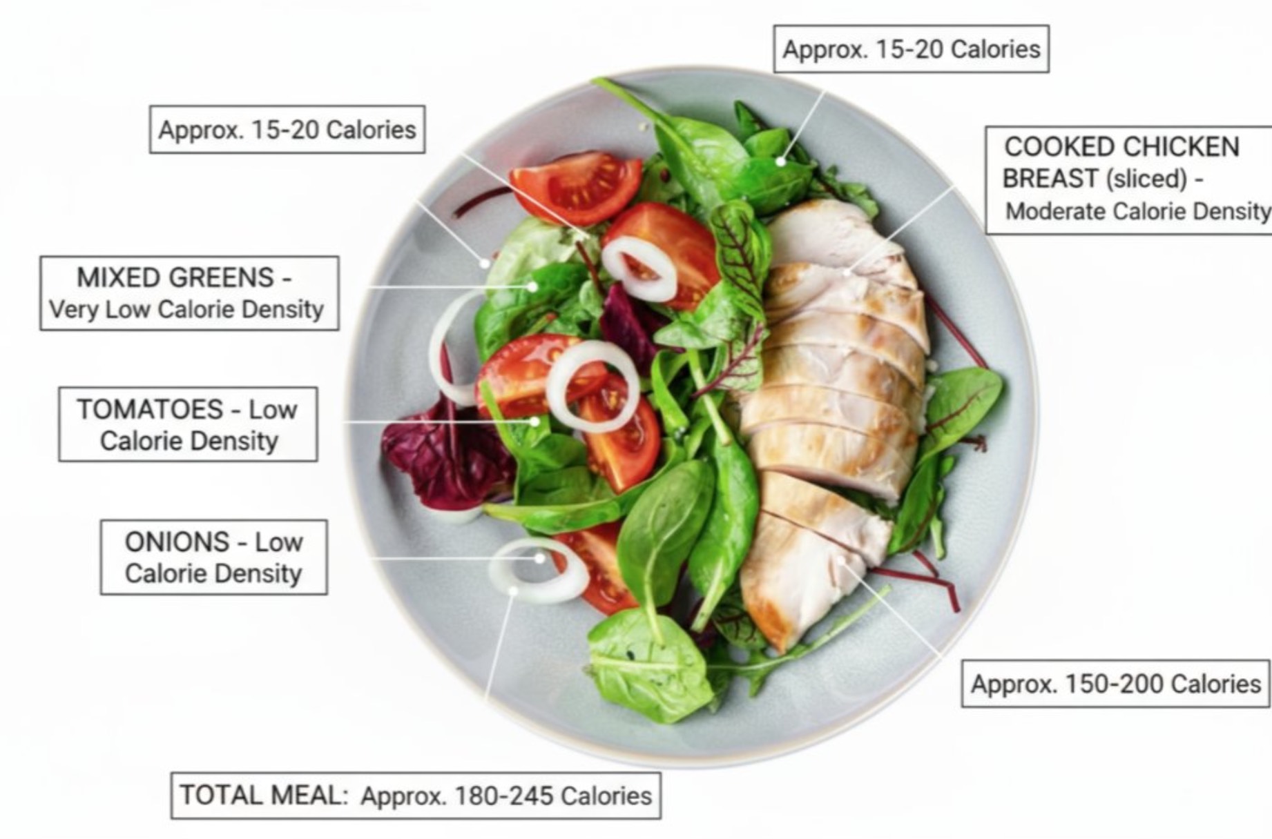AI photo prompt – Food Calorie Annotation output image